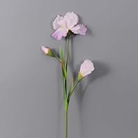 Amazon｜Foxace 造花 イチハツ 北欧風 インテリア フェイクフラワー