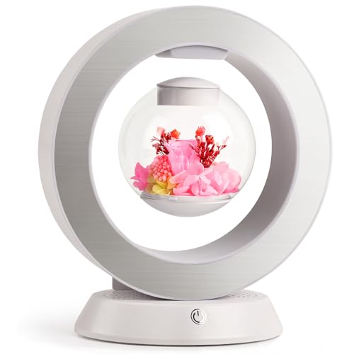 LoveLin Magnetic Levitation Circle Table Lamp with Bluetooth Speaker,5W Led