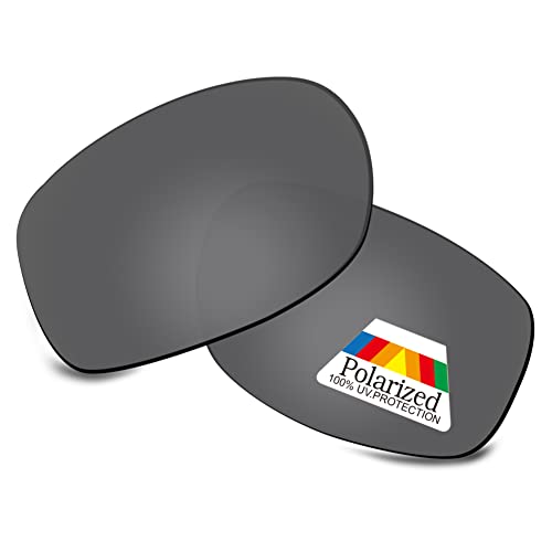 Verres Arnette Lizard AN4266 polarisés pour supprimer les reflets