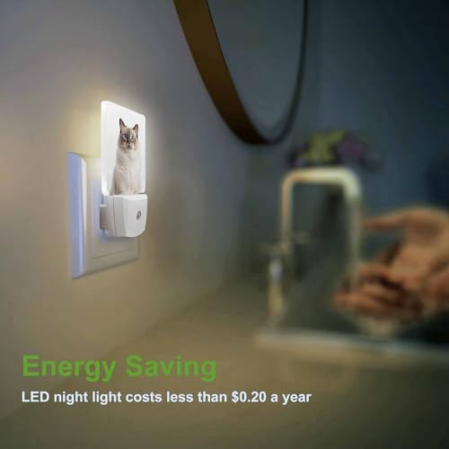 Image of LED Night Light,Beautiful Yellow Eyes Ragdoll Cat LED Night Light Plug into Wall with Dusk to Dawn Light Sensor White Energy Efficient Nightlight for Bedroom Hallway Living Room Kitchen