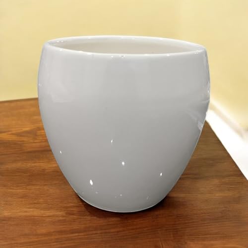 Image of Ceramic Planter Pot with Spiral Design, 17.78cm Height, White Planter Vase for Indoor Plants, Living Room Office Gardens (7 inch) Round (Apple Pot)