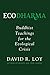 Ecodharma: Buddhist Teachings for the Ecological Crisis (1)
