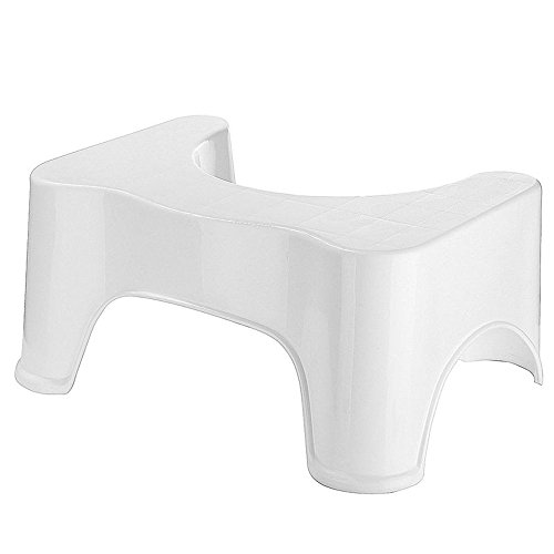 mgCp u gCݑ q gCg[jO 񒣂 ֍ ⏕ 21cm