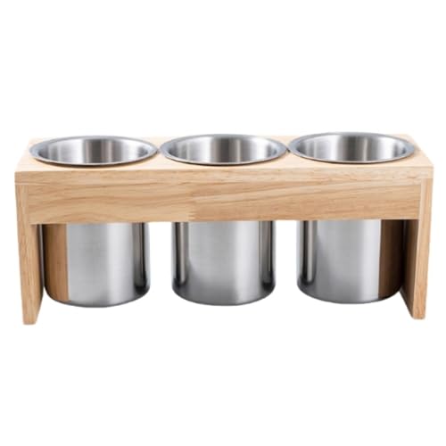 Toriba ƒp304XeXoPcbN@\Xv[iCttH[N[bN~`u (ؘg3)