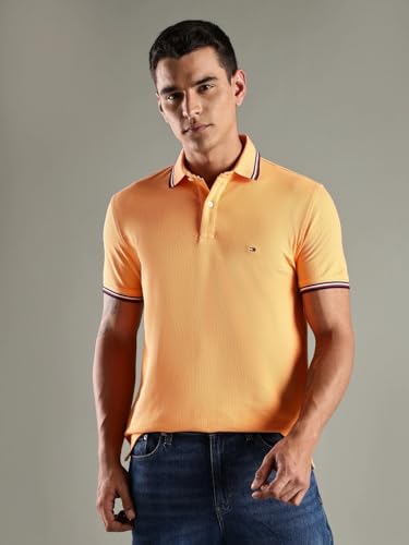 Image of Tommy Hilfiger Men Polo Shirt
