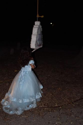 Lace Appliques Flower Girl Dress - First Communion Dresses Tulle Princess Dresses Ball Gown4