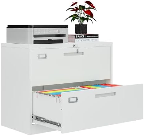 2 Drawer File Cabinets for Home Office, Metal Filing Cabinet with...