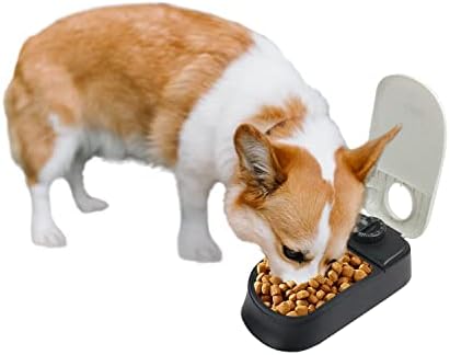PAWISE Automatic Pet Feeder Food Dispenser with Timer for Cats and Dogs, Cat Food Container, Food Dispenser Station with Timer, 100% BPA Free, Dishwasher Safe(1 Meal)