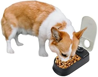 PAWISE Automatic Pet Feeder Food Dispenser with Timer for Cats and Dogs, Cat Food Container, Food Dispenser Station with Timer, 100% BPA Free, Dishwasher Safe(1 Meal)