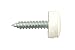 Connect 31540 - Tornillo con Tapa no. 8 para matrícula (1,90 cm,...