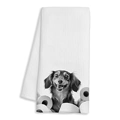 Tissue Dachshund-1