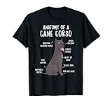 Un simpatico e divertente cane cane anatomia disegno grafico che è un successo con cani mamme e cani papa'. Mostra il tuo amore per un nuovo cucciolo di famiglia o migliore amico.