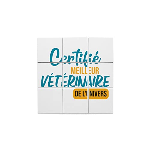 Cadeau vétérinaire carreaux céramique décoratif humour veto docteur