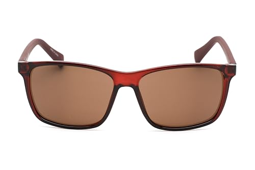 Image of Calvin Klein mens Ck19568s Round Sunglasses