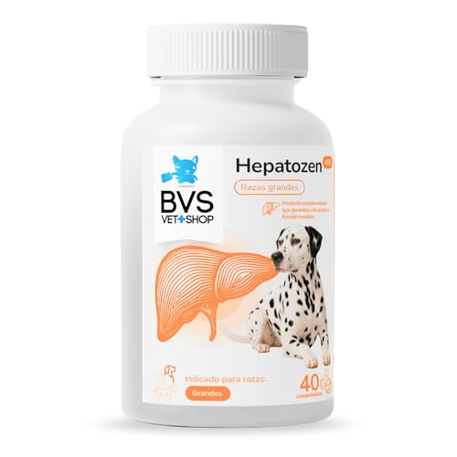 BVS Vet Shop | Hepatozen Plus 40 Comprimidos para Perros y Gatos | Promueve la Salud hepática y la regeneración del hígado de tu Mascota | 400/100 - Razas Grandes