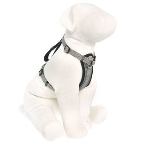kong waste bag harness amazon