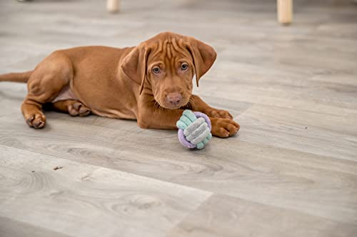 Trixie Junior Knoten-Ball - praktisches Hundespielzeug zum Tauziehen für Welpen - ø 6 cm, Zerrspielzeug für Hunde - 32810