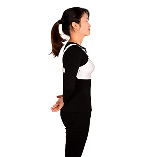 The 27 Best Fencing Chest Guards of 2024 [Verified] Cherry Picks