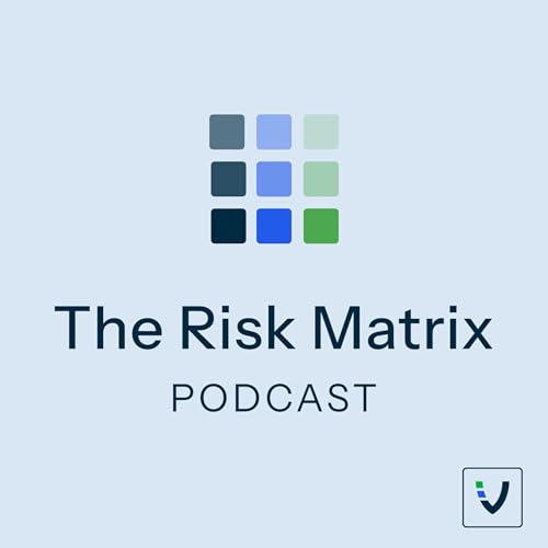 The Risk Matrix : Veriforce: Amazon.in: Audible Books & Originals