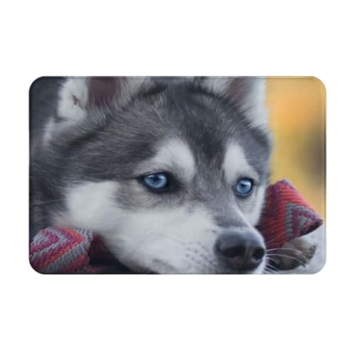 ���փ}�b�g �V�x���A���n�X�L�[ �� ���� ���O ����~�� �􂦂� �k���� �t�����l�� �z������ �h�L �R�� ���� ������� 40×60cm �o�X�}�b�g �L�b�`���}�b�g