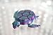 SWANKYVIEW Iridescent Turtle Fidget Clicker – ASMR Desk Fidget for Adults & Teens | Stress & Anxiety Relief, Focus Tool | Color-Shift Finish