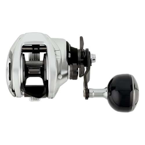 Shimano TRANX 300 B Low Profile Reels (TRX300HGB) Fishing