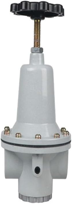 COKYIS Air Source Processor QTY-8-10-15-20-25 Pressure regulating Valve Q Series Rotary Pneumatic Components (Size : QTY-25 PT1)