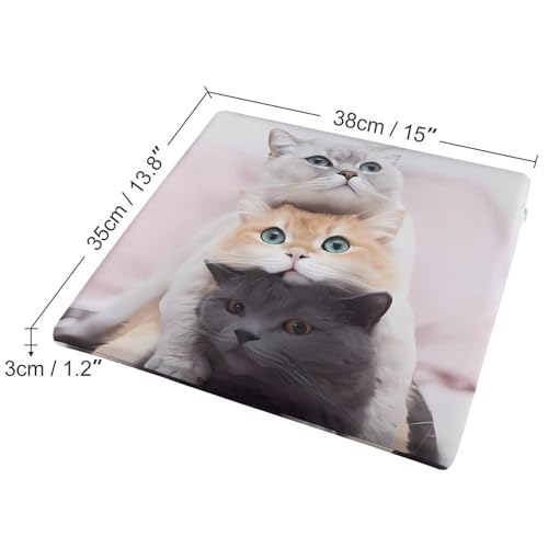 Cojín viscoelástico de gatos 38x35 cm con funda extraíble para comedor 3