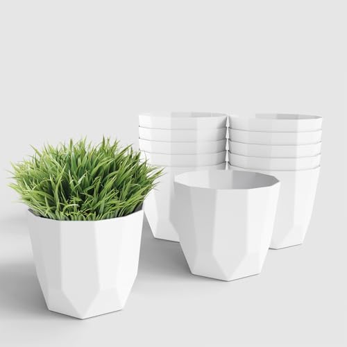 Image of YUCCABE ITALIA SHERA Hexa Plastic Planter Pot for Plants | Decorative Flower Pot | UV Protected Lightweight Indoor Outdoor Gamla for Home Decor, Balcony, Garden & Living Room