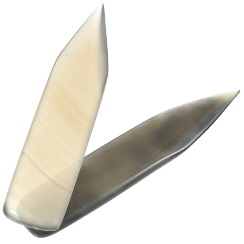 BESPORTBLE 1 Juego De 2 Herramientas para El Mantenimiento De Joyas Paño para Pulir Plata Herramienta para Bruñir Ágata Bruñidor De Ágata Herramienta para Pulir Joyas De Plata Y Oro