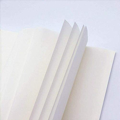 CamDesign Folhas de papel de caligrafia japonesa 100 peças, papel de arroz coreano Xuan para pintura