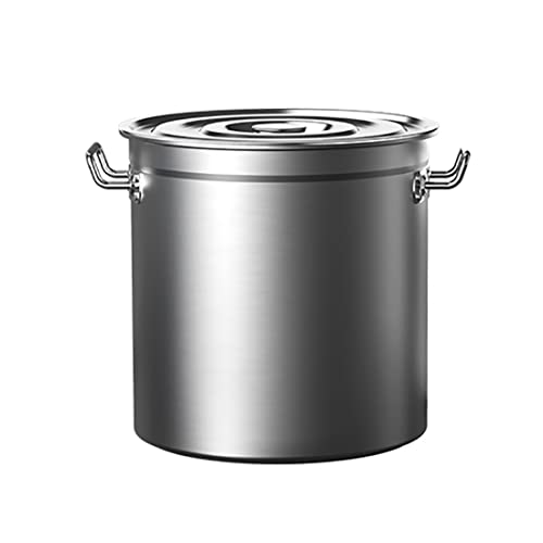SGKOMN Olla Grande de Acero Inoxidable 304 con Tapa, Fondo Grueso Mejorado, Pulido Espejo, Antiadherente, 6 tamaños, Onecolor-10 litres
