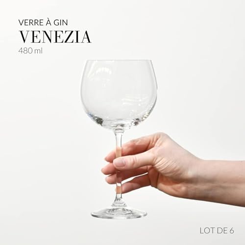 Verre à Gin Eau | Lot 6 Verres | 480 ml | Venezia Collection | A Destination des Particuliers et des Professionnels, au Quotidien comme dans le Domaine Êvénementiel | Lavable au Lave-vaisselle – Image 4