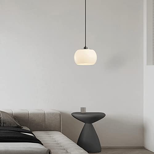 Lampe suspendue avec cache-pot intégré résout manque de verdure - 4