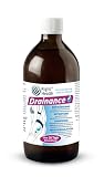 DRAINANCE: Wirksame Entgiftungskur, Leberreinigung und Anti-Cellulite-Behandlung gegen Wassereinlagerungen an Beinen und Bauch. Mit Birke, Löwenzahn, Pflaume und Schachtelhalm. 500 ml orale Lösung