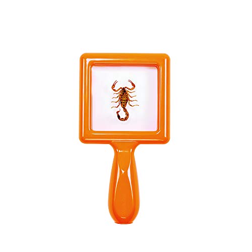 Image of Environments Toddler Specimen Viewers Set of 4 (Item # SPECISEE)