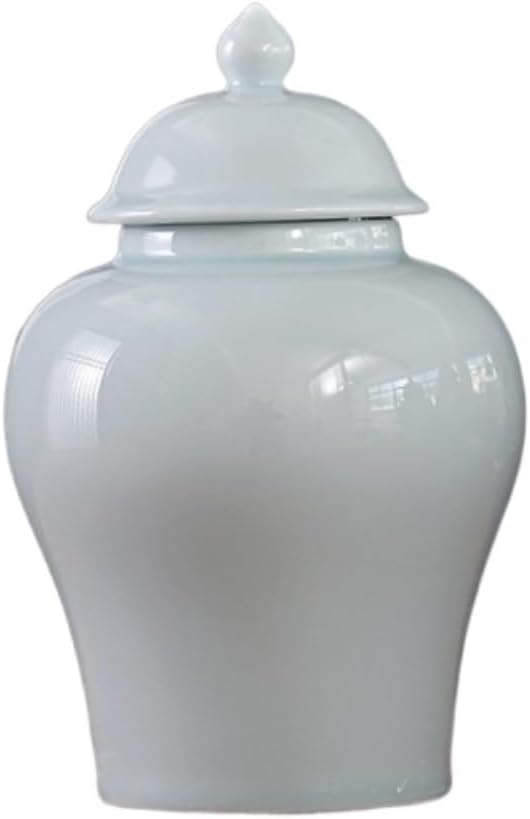 Food Storage Jar,Decorative Jar Ginger Jar Vase Decor Ceramic Ginger Jar with Lid Chinese Style Temple Jar Blue and White Decorative Vase for Home Decor Ceramic Ginger Jars,C-16 * 24Cm