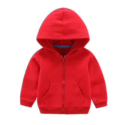DDAPJ pyju Girls Boys Zip Up Hoodies Unisex Kids Cotton Long Sleeve Sweatshirts Jacket Pockets Casual Fall Coats 2-9 Years