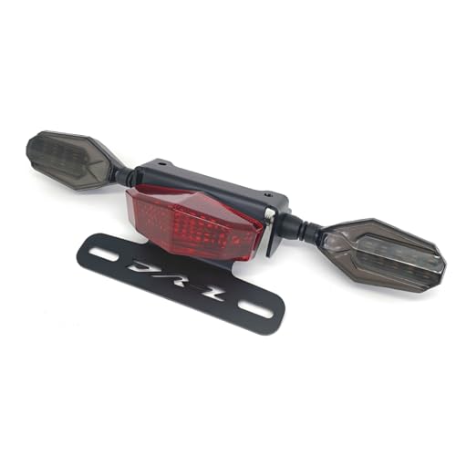 GYUKSIA DRZ400S Rear Tail Tidy - Fender Eliminator Kit LED Tail Brake Light Turn Signal Blinker For SUZUKI DR-Z 400SM DR-Z 400S DRZ 400E 2000-2021 License Plate Bracket (Red)