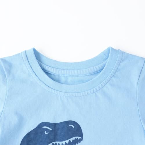 Image of HILEELANG Toddler Boy Summer Outfit Set 2 Piece Short Sleeve T Shirt and Short Soft Breathable Cotton Clothing Sets 2-7T