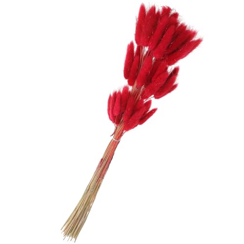 Flores secas de cola de conejo rojo natural, paquete 60 tallos miniatura 1