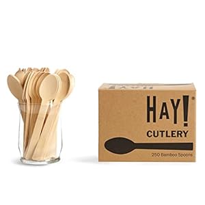 HAY! Bamboo Spoons | 250 ct Unwrapped Spoons | Biodegradable Utensils | Compostable & Plastic-Free | Heavy-duty Spoons | For To-Go Meals or Events | wooden Spoons
