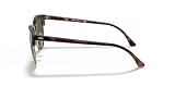 Ray-Ban Mężczyźni Okulary Przeciwsłoneczne, Brązowy