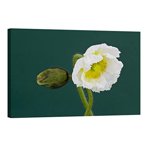 Tableau canvas flowers DCF061-2 phosphorescent lumineux dans le noir 80x120 cm