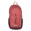 Eddie Bauer Stowaway Packable Backpack | Travel | Outdoor | Lightweight | Foldable | Durable | Ripstop Polyester | 20L - Maroon