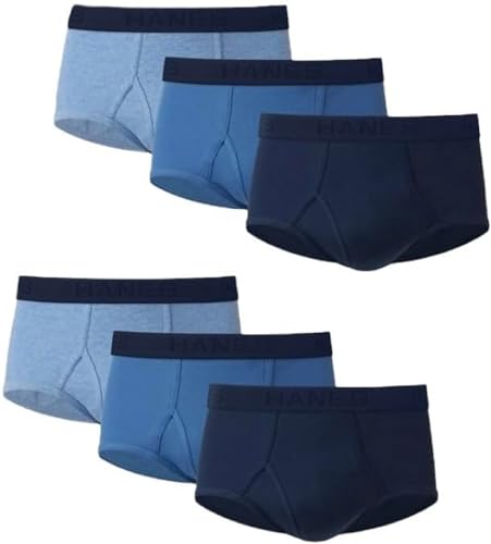 Hanes Men's Tagless Cotton Brief (Pack of 6), Blue Assorted, Large