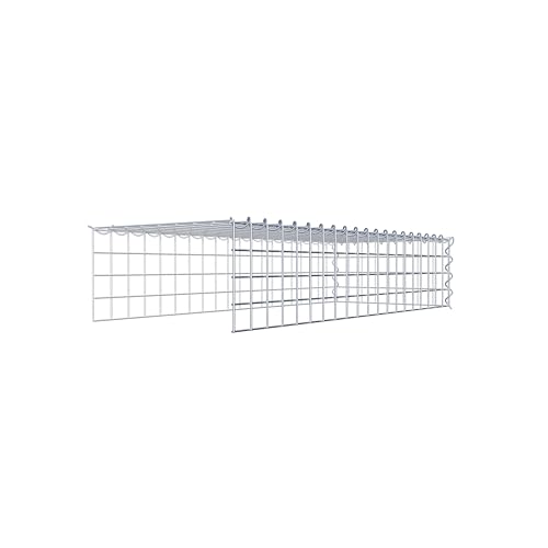 GABIONA Cesta de piedra de gavión rectangular, malla de 5 x 5 cm, profundidad de 40 cm, cesta de cultivo tipo 4, cierre de espiral, galvanizado (100 x 20 x 40 cm)