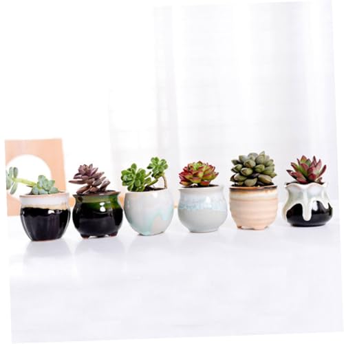 Pots en céramique émaillée BESPORTBLE pour succulentes x6 - 7