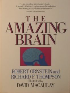 Amazing Brain 0395408008 Book Cover