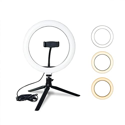 HCFSUK Fülllicht LED Ringlicht Studio Foto Video Dimmbare Lampe Stativ Stativ Selfie Kamera Handy Ringlicht für… – Bild 3
